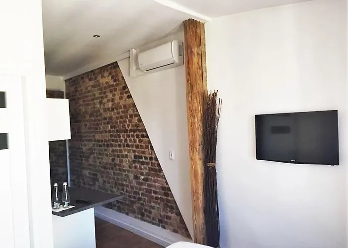 Apartmenty Mariacka 20 -self Check-in 24h -glosniej W Weekendy - Noisy On The Weekend דירה קטוביץ